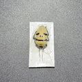 Eucorysses grandis deaths head bug